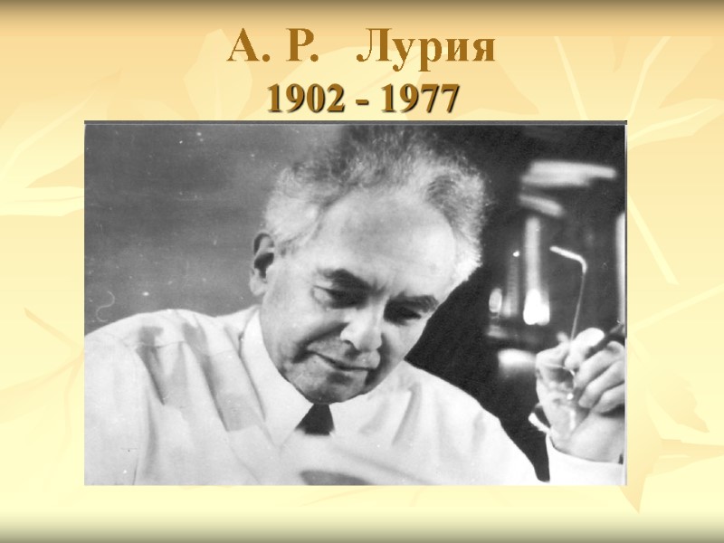 А. Р.   Лурия 1902 - 1977